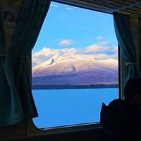 ミルさんかえってきて