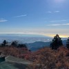 ［関東］神社仏閣・御朱印について語ろう☆