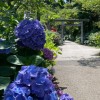 ［関東］神社仏閣・御朱印について語ろう☆