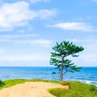 【加賀市に来る方限定】私たちが加賀市を住みやすくする✨口コミ情報🎋