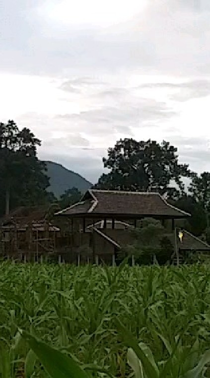 เวียงปันดาว