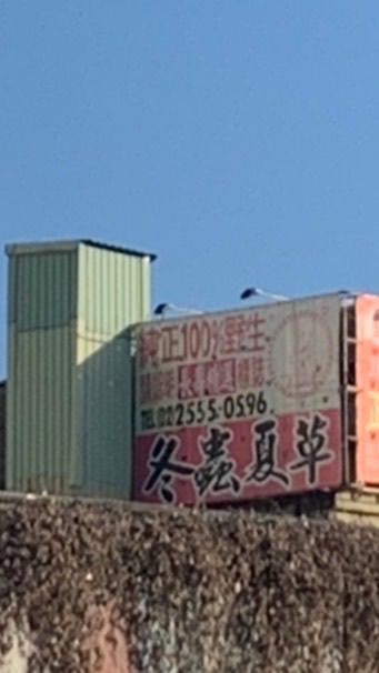 🇰🇷冬蟲夏草韓國代購🇰🇷
