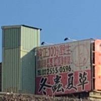 🇰🇷冬蟲夏草韓國代購🇰🇷