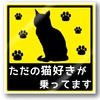猫好き丸 ドミネーションズ