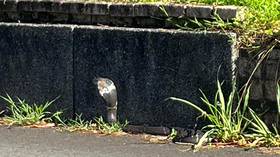 南橫公路全線有條件通車人潮爆滿大塞車 民視新聞網 Line Today