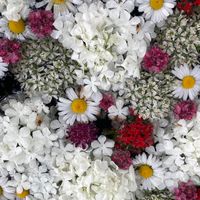 悩む中高年🍀クスッと笑える穏やかな時間求む❗️女性限定❤︎吐き出そう🍀色んな事