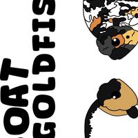 Boat goldfish