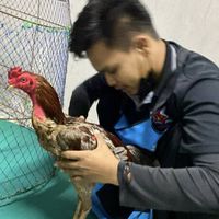 เจ้าอาร์ท โคราช