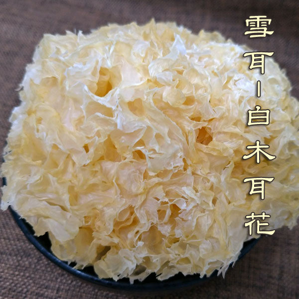 雪耳 白木耳花整朵 100克 易泡開 膠質多 養生食材 另售桃膠 皂角米 白木耳散 【正心堂】