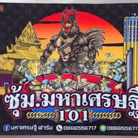ซุ้มมหาเศรษฐี101