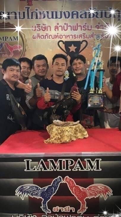 📌🔥กิตติกวินทีม.ต้นเหล่าเทารีโว่​+สายเลือดเงินล้าน