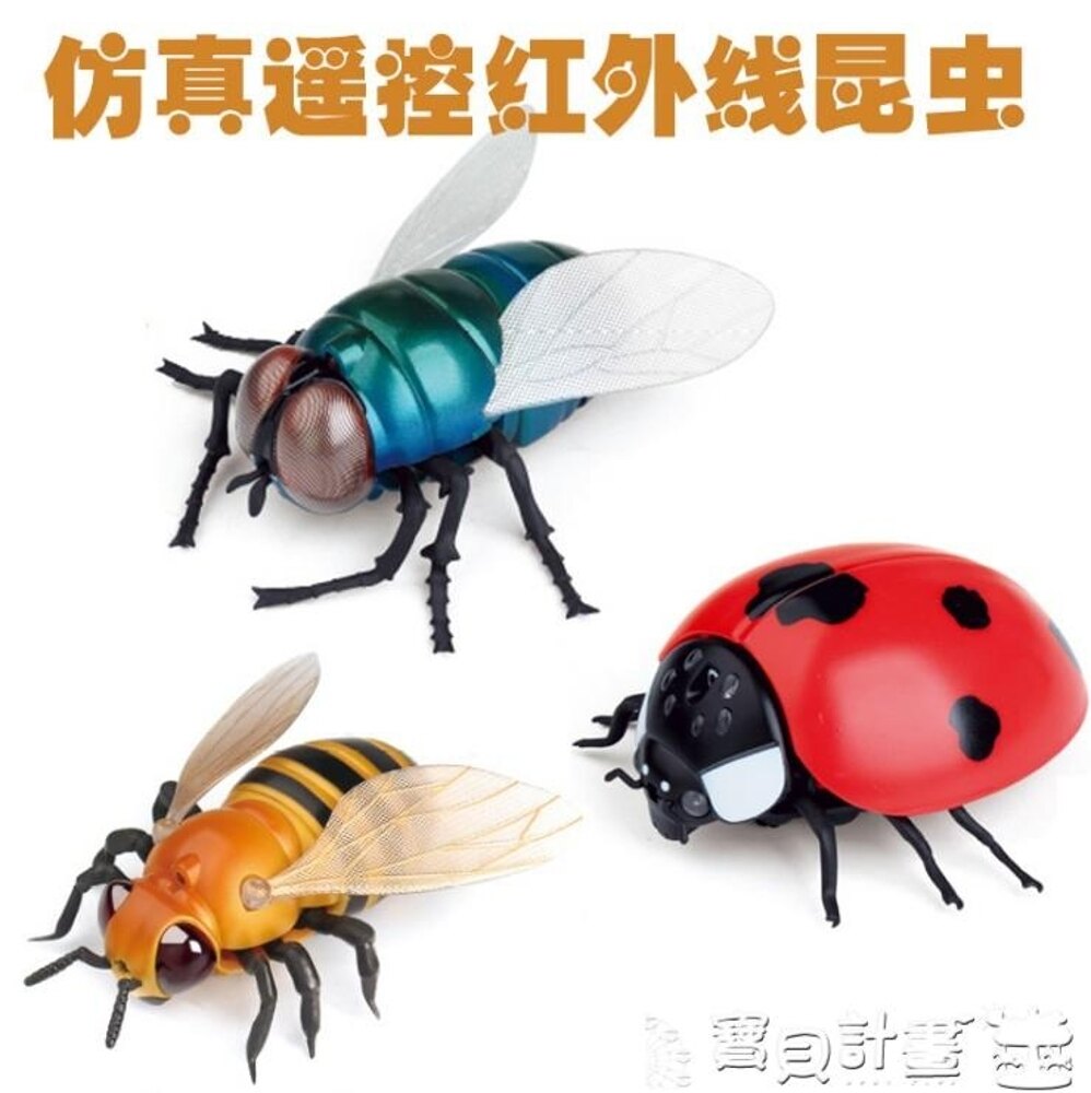 遙控玩具 遙控蒼蠅遙控瓢蟲遙控蜜蜂昆蟲動物愚人節整蠱惡搞玩具男孩嚇女孩JD BBJH