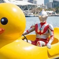 高雄+