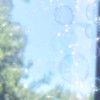 まだ始まっていない季節へ