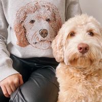 tricopetのデザイン相談室