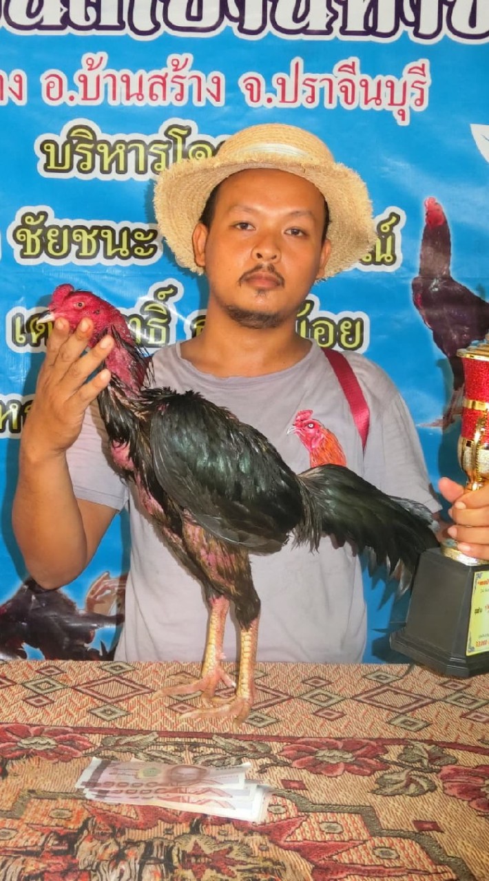 ไก่เชิงสายจ่า
