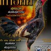 ฝากผสม เทาอัคคี ป.วุฒิฟาร์ม