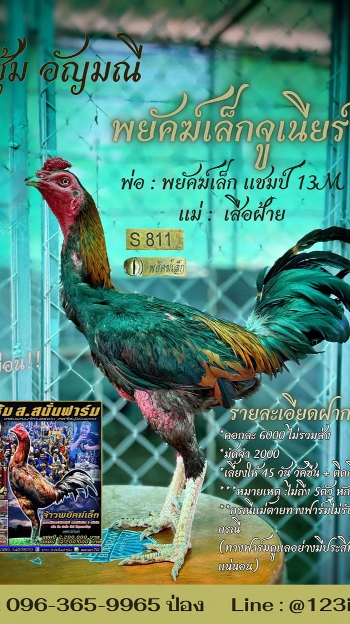 ซุ้ม อัญมณีฟาร์ม🐔🐓