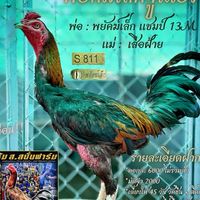 ซุ้ม อัญมณีฟาร์ม🐔🐓