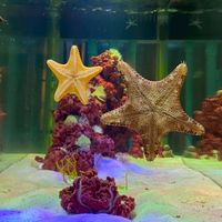 C&F marine aquatic (พัทยา)