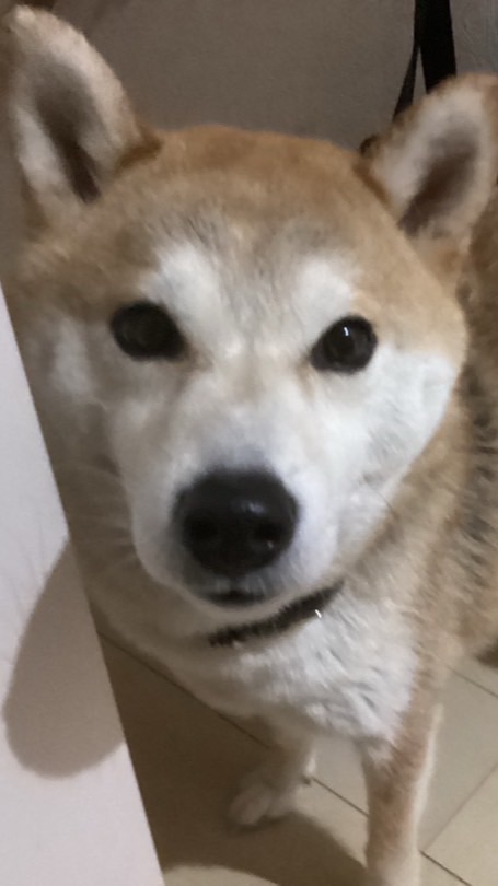 みうのオプ