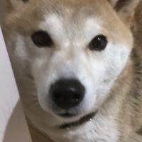 みうのオプ