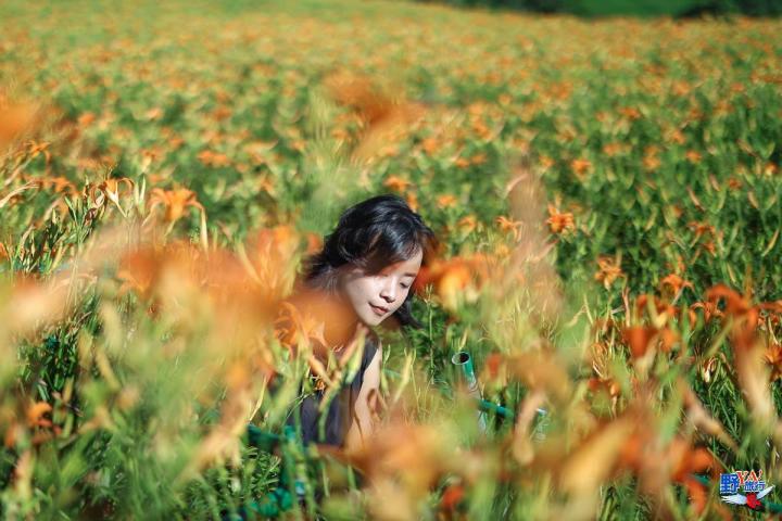 2023赤柯山金針花海必拍推薦8大景點 @Ya!Travel 野旅行新聞網