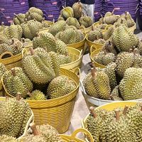 ผลไม้เมืองจัน