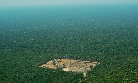 4 Trillion Fund Holders Tell Brazil To Halt Deforestation