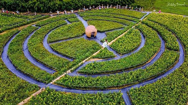 ▲圖片來源：IG@x.x.x_diddy、IG@molly888666