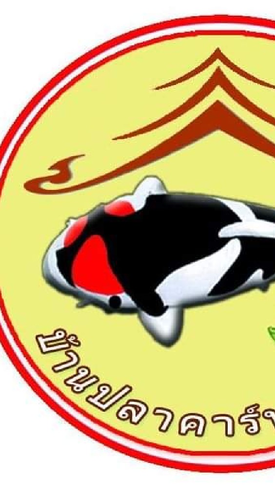 ประมูล​ปลาคาร์ฟ​Sukhothai​ Koi​ Farm