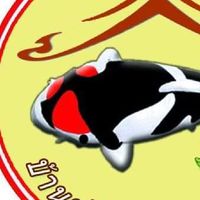 ประมูล​ปลาคาร์ฟ​Sukhothai​ Koi​ Farm