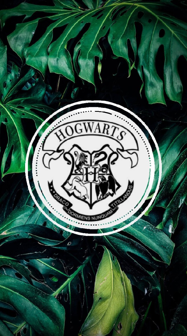 -- Hogwarts of light in the Mine-- OpenChat