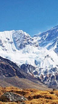 💰幣密會 · 至尊獵場👑