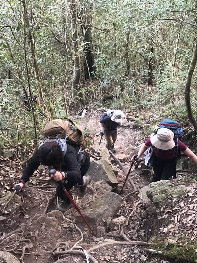 西巒大山 爬升1500m的單攻聖品 健行筆記 Line Today