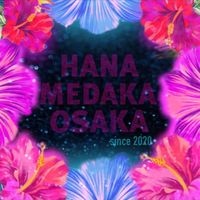 激アツライブオークション(通知オフ推奨)