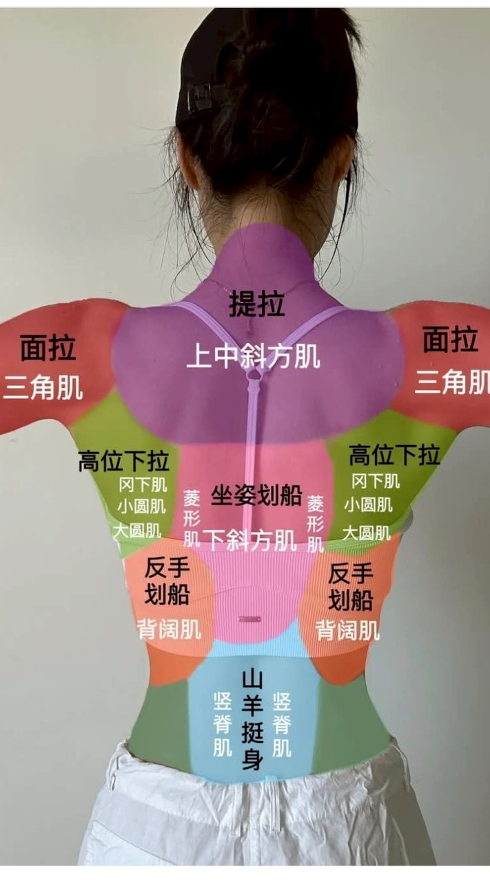 練延缓資料