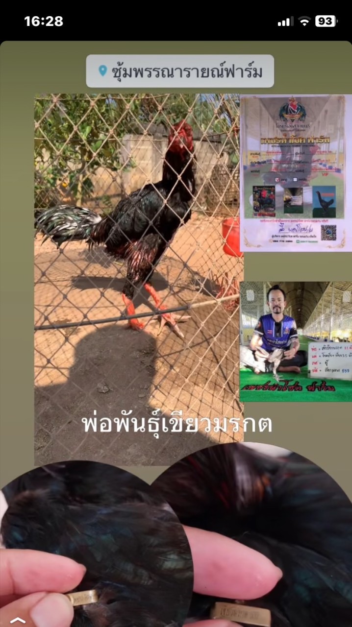 ซุ้มพรรณารายณ์ฟาร์ม ก๋อยง่อน