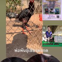 ซุ้มพรรณารายณ์ฟาร์ม ก๋อยง่อน