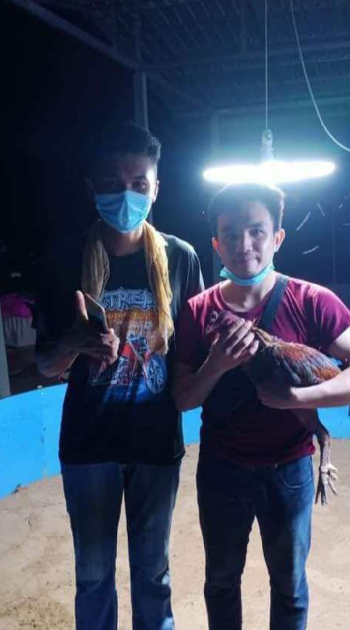 ซุ้ม.ส.มีชัย ไก่ชน สายพันธุ์พม่าเบอร์แข้ง