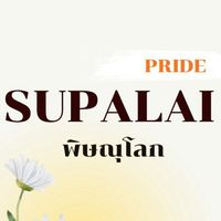 หมู่บ้านศุภาลัย ไพร์ด พิษณุโลก