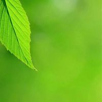 法喜佛友群-念經 吃素 知因果 消業障 心靈法門
