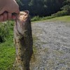 バス釣り　広島県