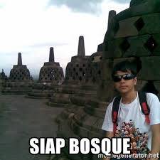 Source: https://memegenerator.net/instance/68022485/ntap-siap-bosque