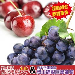 ◎香甜好吃，馥郁的滋味讓您停不下來|◎送禮自品嘗兩相宜|◎品牌:果物樂園類型:水果水果種類:葡萄重量/件:葡萄-350g-400g/串，櫻桃-600g±10%包裝:盒裝配送方式:冷藏產地:日本保存期限