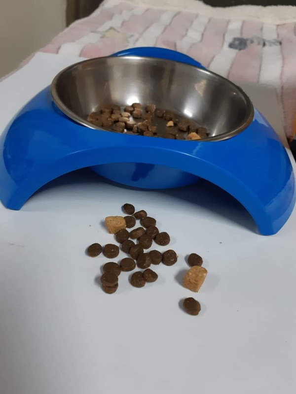 貓飼料推薦-貓奴必備紐崔斯Nutrience 頂級無穀飼料 凍乾系列 成貓無穀 火雞肉+雞肉+鮭魚 2.27kg 開箱分享