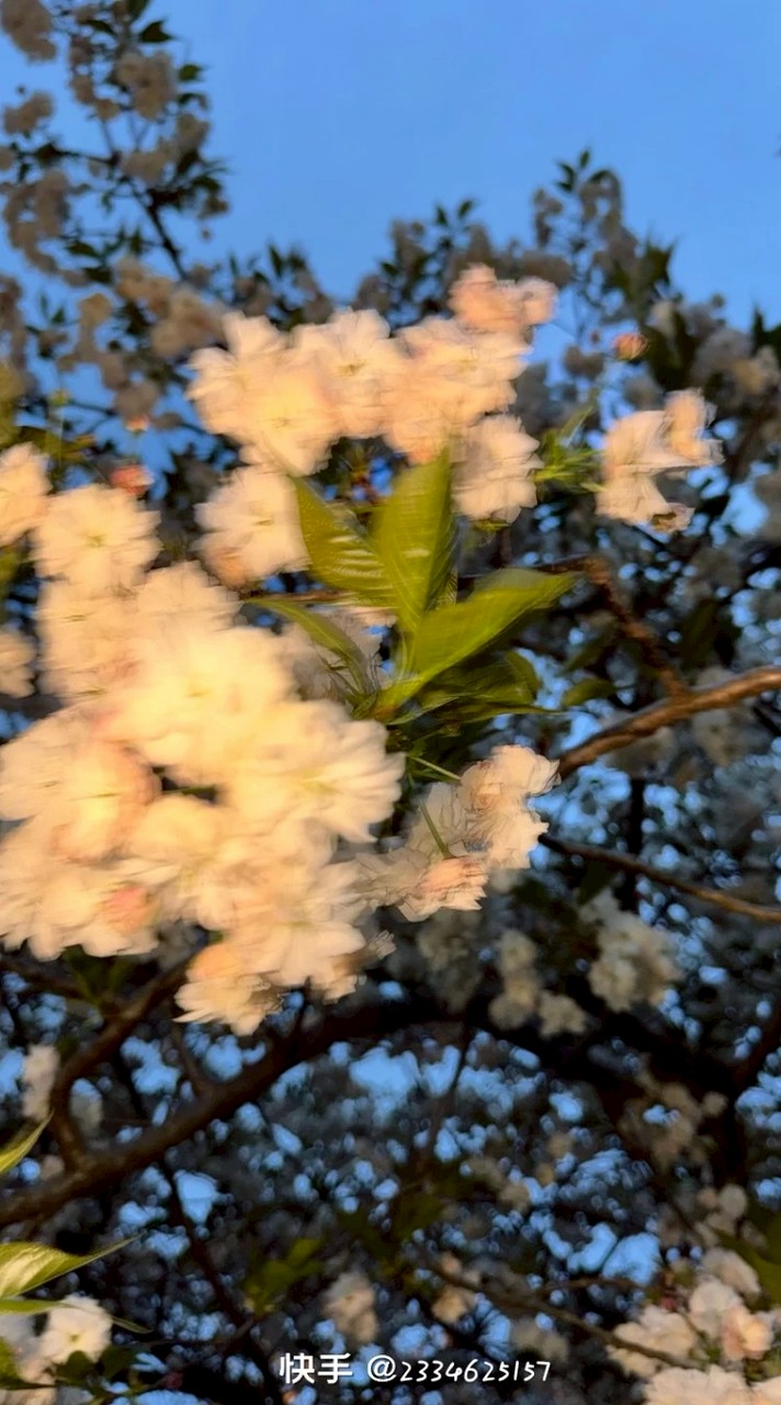 素材群