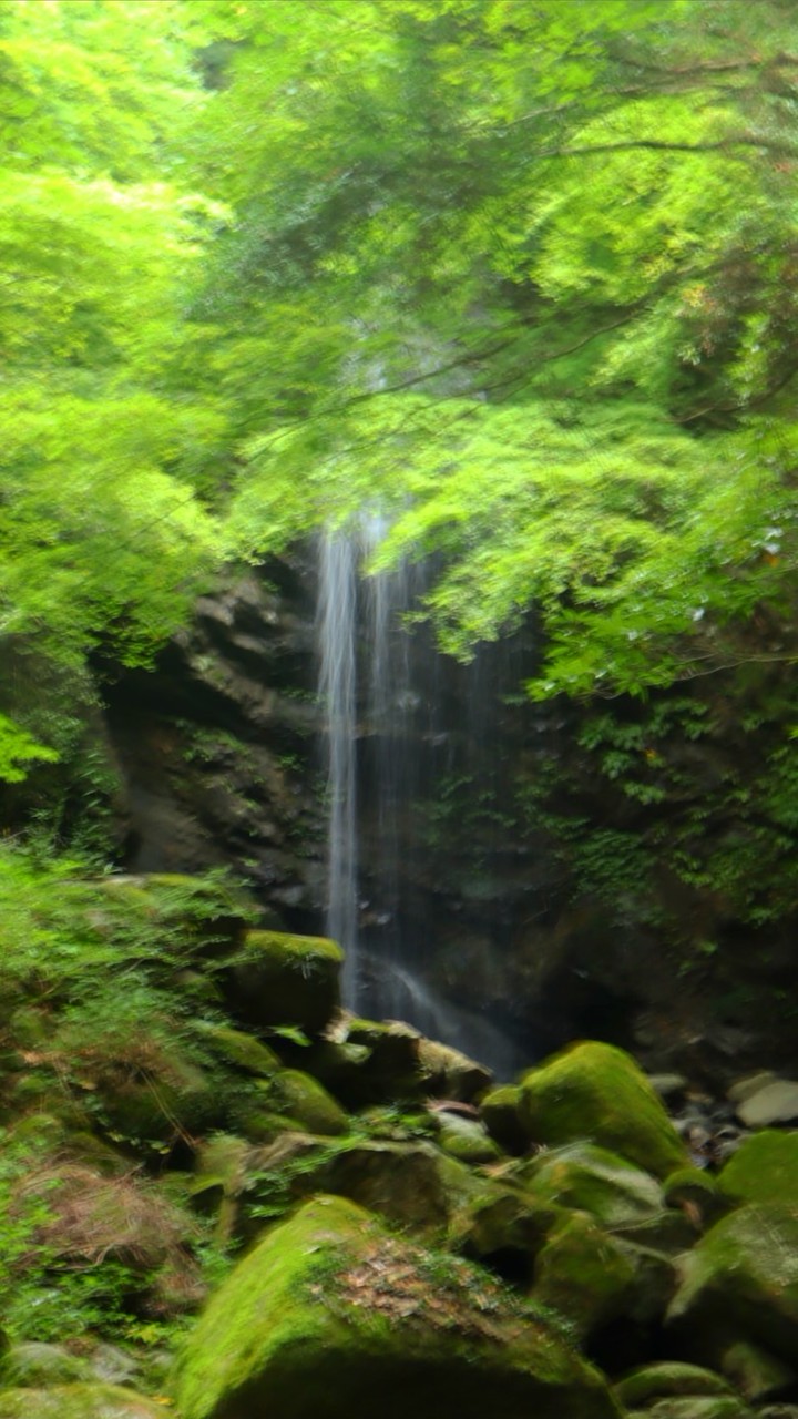 和みの写真部屋🍀『トークも🆗』