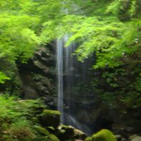 和みの写真部屋🍀『トークも🆗』