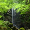 和みの写真部屋🍀『トークも🆗』